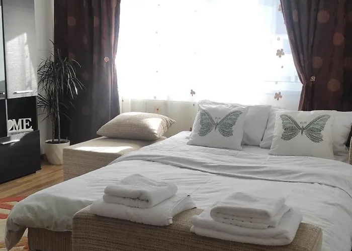 Noua Apartment